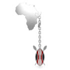 fc-earrings-drop-liberty-silver_01